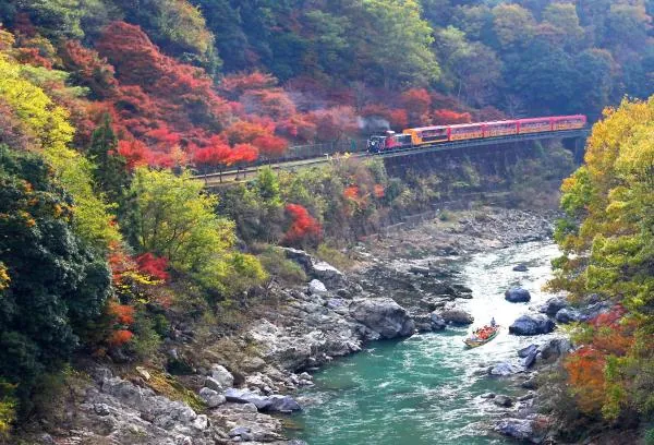 日本京都|嵐山・保津川遊船體驗|電子票