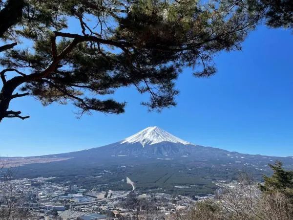 【1人成團】日本富士山河口湖一日遊|富士山五合目・天上山公園纜車/河口湖遊船・忍野八海・新倉山淺間公園|東京出發