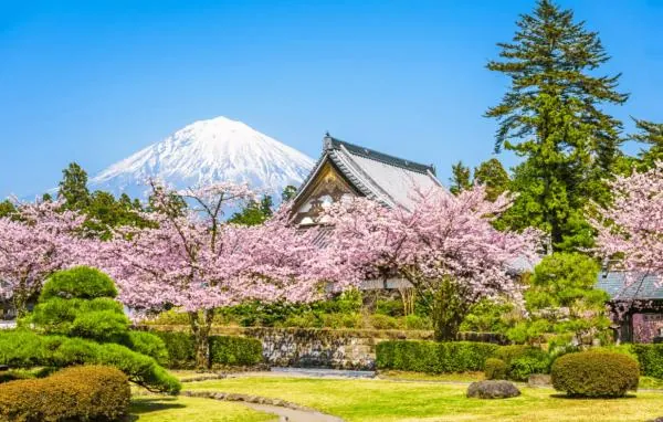 【1人成團】日本富士山河口湖一日遊|富士山五合目・天上山公園纜車/河口湖遊船・忍野八海・新倉山淺間公園|東京出發