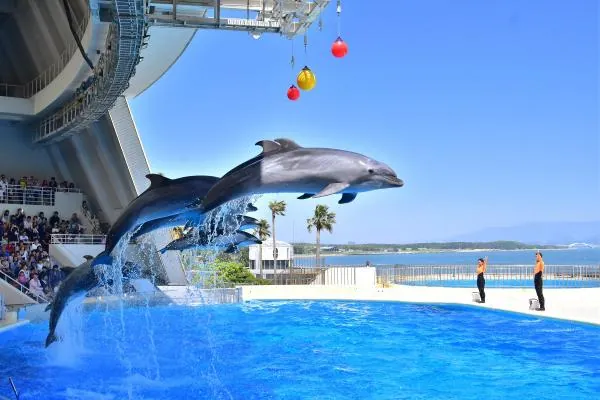 日本九州福岡海之中道水族館門票 MARINE WORLD