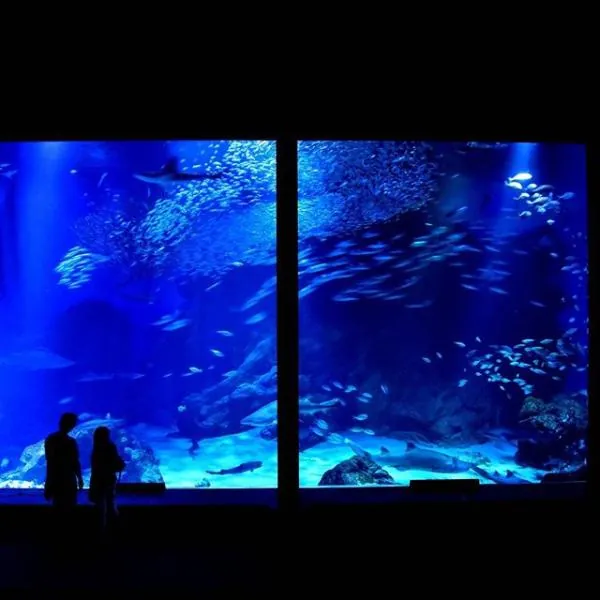日本九州福岡海之中道水族館門票 MARINE WORLD