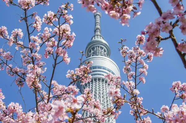 東京晴空塔門票
