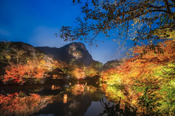 【 嗨玩大九州 】台灣虎航・桃園出發│佐賀&大分&宮崎 5日計畫票│贈唐吉軻德優惠券・不含機上餐