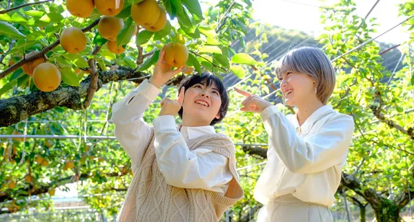 日本鳥取 鳥取砂丘一日遊|砂之美術館・梨子採摘吃到飽體驗(大阪出發)
