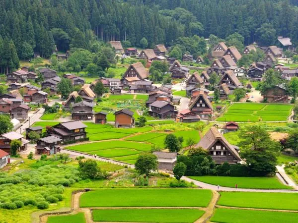 名古屋一日遊|白川鄉合掌村&飛驒高山老街