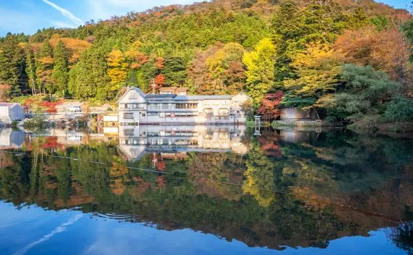 【1人成團】九州大分由布院&別府地獄一日遊|金鱗湖・九州自然動物園・博多出發(可選由布院之森列車)