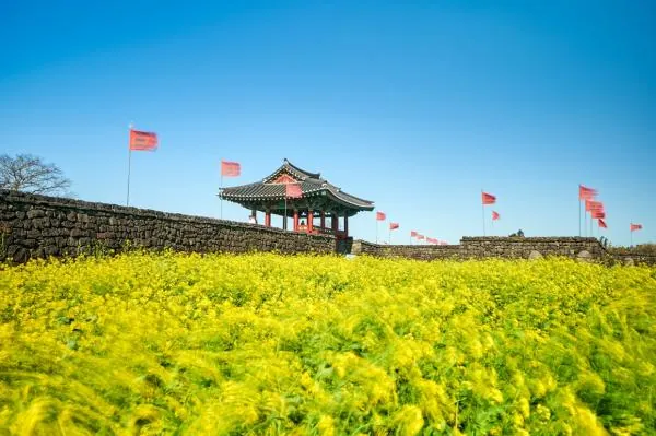 易斯達航空.桃園出發|首爾/濟州/釜山/清州 計畫機票|1人成行.含行李