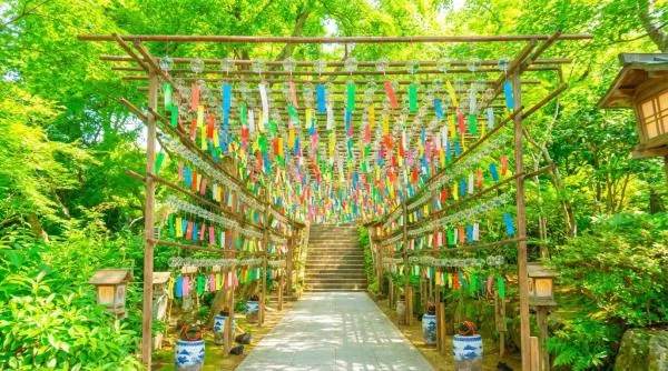 【1人成團】暑期推薦|福岡六景湯布院・金鱗湖・別府地獄溫泉・如意輪寺・由布岳|可選由布院之森列車體驗