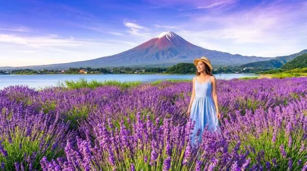 富士山六景熱門打卡拍照一日遊|淺間公園&日川時計店&忍野八海&河口湖大石公園&羅森便利商店&山中湖餵天鵝(中英韓文服務)