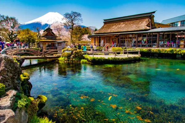 日本富士山一日遊|河口湖・忍野八海・御殿場Outlet・可選溫泉體驗(東京銀座出發)