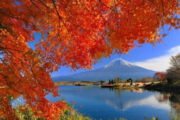 日本富士山一日遊|河口湖・忍野八海・御殿場Outlet・可選溫泉體驗(東京銀座出發)
