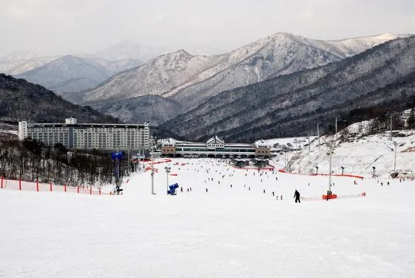 【官方】韓國滑雪體驗|釜山出發・伊甸園山谷滑雪一日遊(冬季限定/初學者友善)
