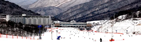 【官方】韓國滑雪體驗|釜山出發・伊甸園山谷滑雪一日遊(冬季限定/初學者友善)