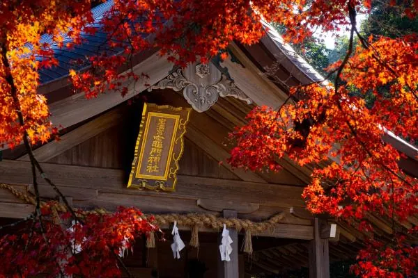 Fun Tour 九州巴士輕鬆遊|雷山千如寺、 柳川、太宰府、竈門神社|語音導覽服務