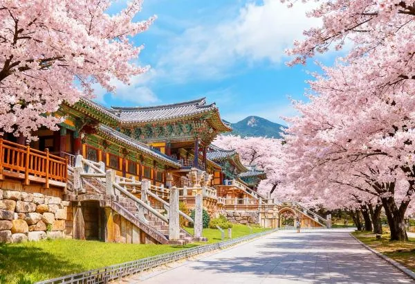 慶州日夜遊|皇理團路、大陵苑、佛國寺、慶州校村、雁鴨池、月精橋(釜山出發)