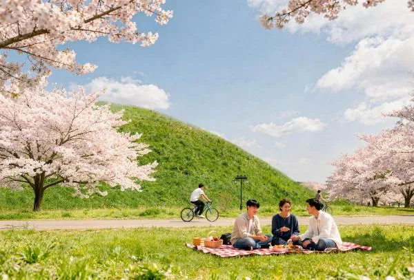慶州日夜遊|皇理團路、大陵苑、佛國寺、慶州校村、雁鴨池、月精橋(釜山出發)