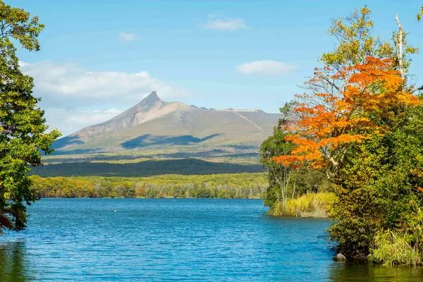 新千歲機場 (CTS) 前往札幌/洞爺湖/小樽/富良野/美瑛/函館/新雪谷/星野屋/登別/留壽都|機場接送