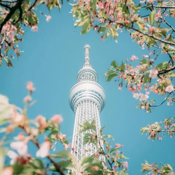 限量優惠・桃園出發|日本東京 5 天 & 6天計劃機票|酷航・含行李