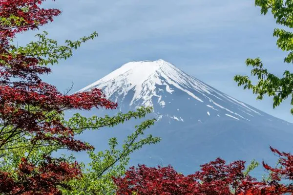 限量優惠・桃園出發|日本東京 5 天 & 6天計劃機票|酷航・含行李