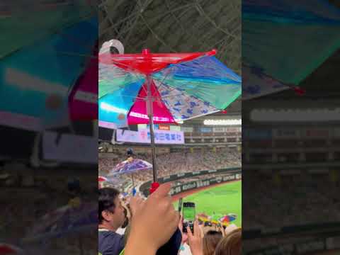 Tokyo Yakult Swallows 東京養樂多燕子 應援 at 福岡 PayPay Dome 球場